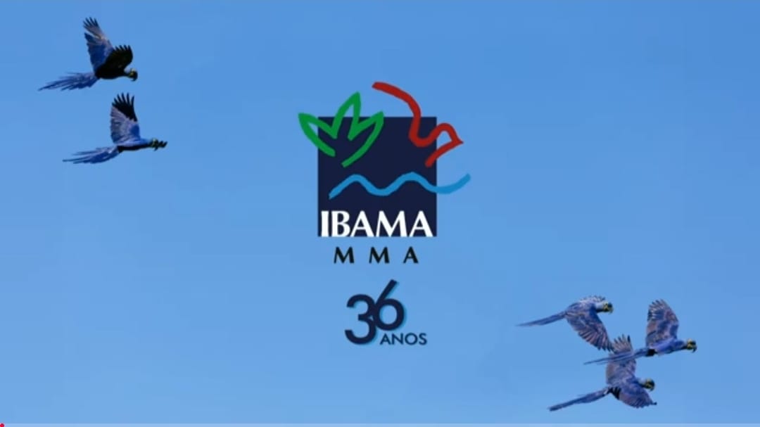 Concurso IBAMA 2025: Preservação amazônica e concorrência recorde