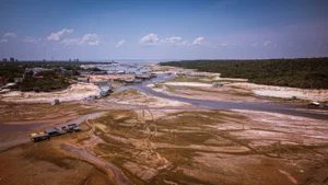amazonas