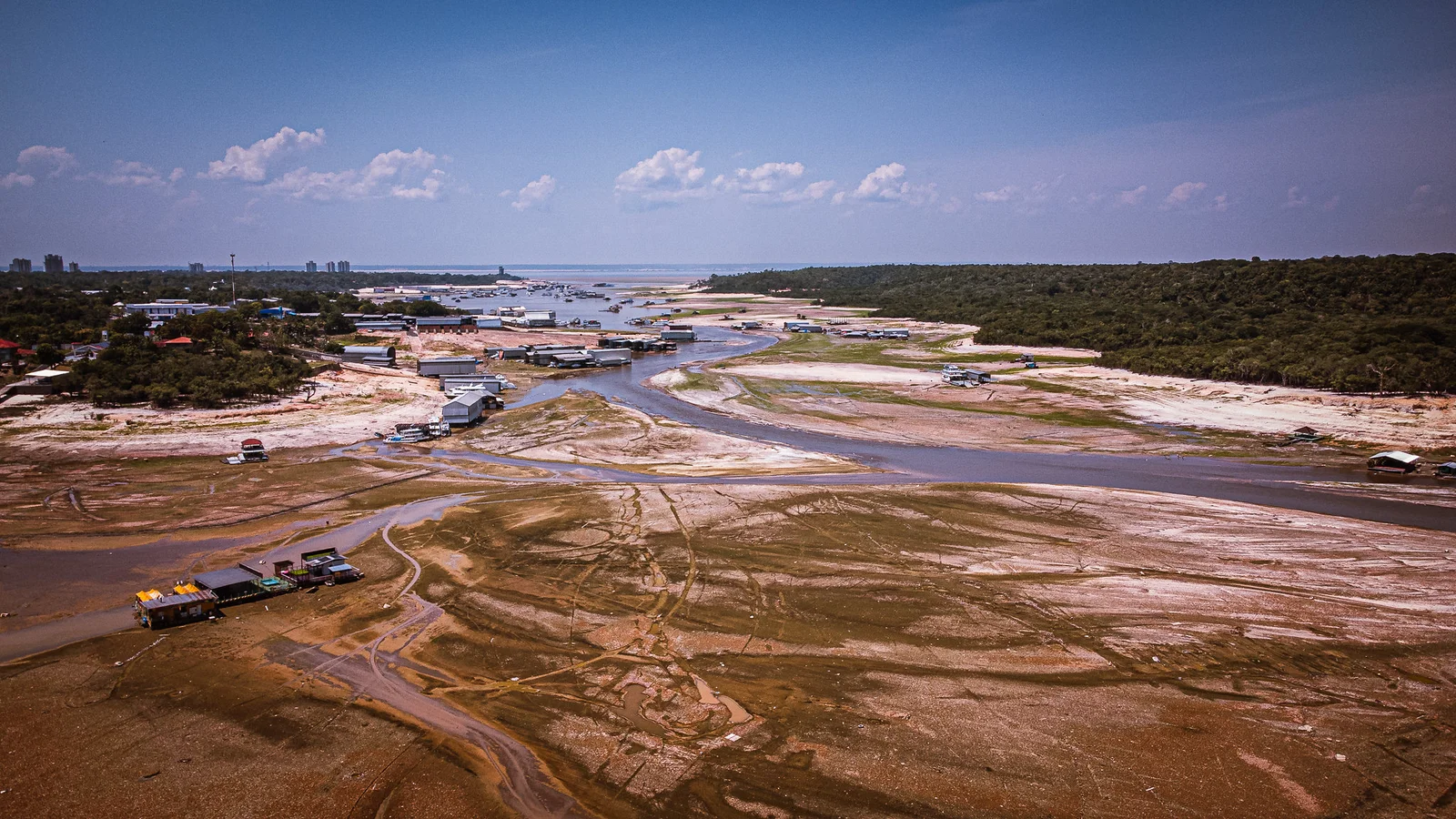 amazonas