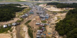 amazonas