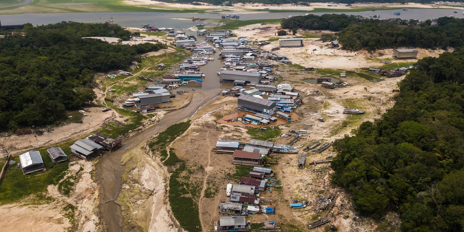 amazonas