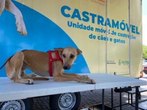 castramovel