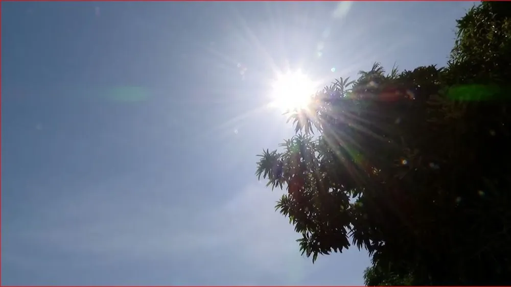 calor