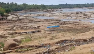 amazonas