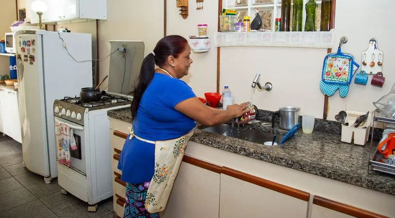 dona de casa