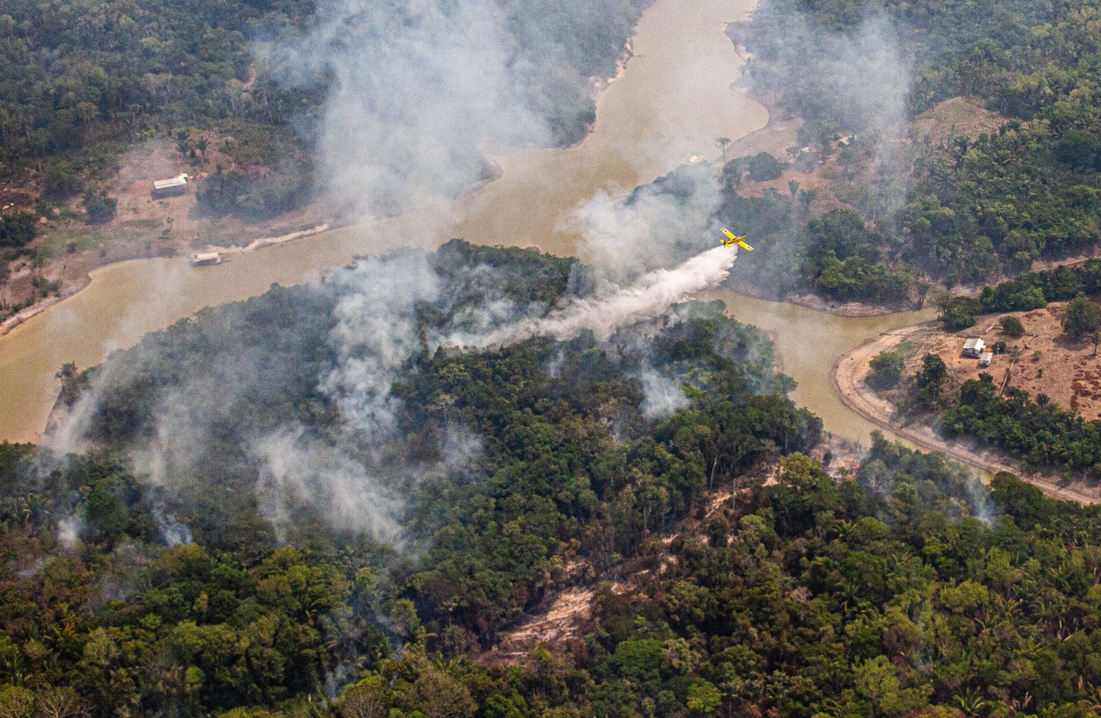 amazonas