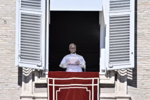 papa